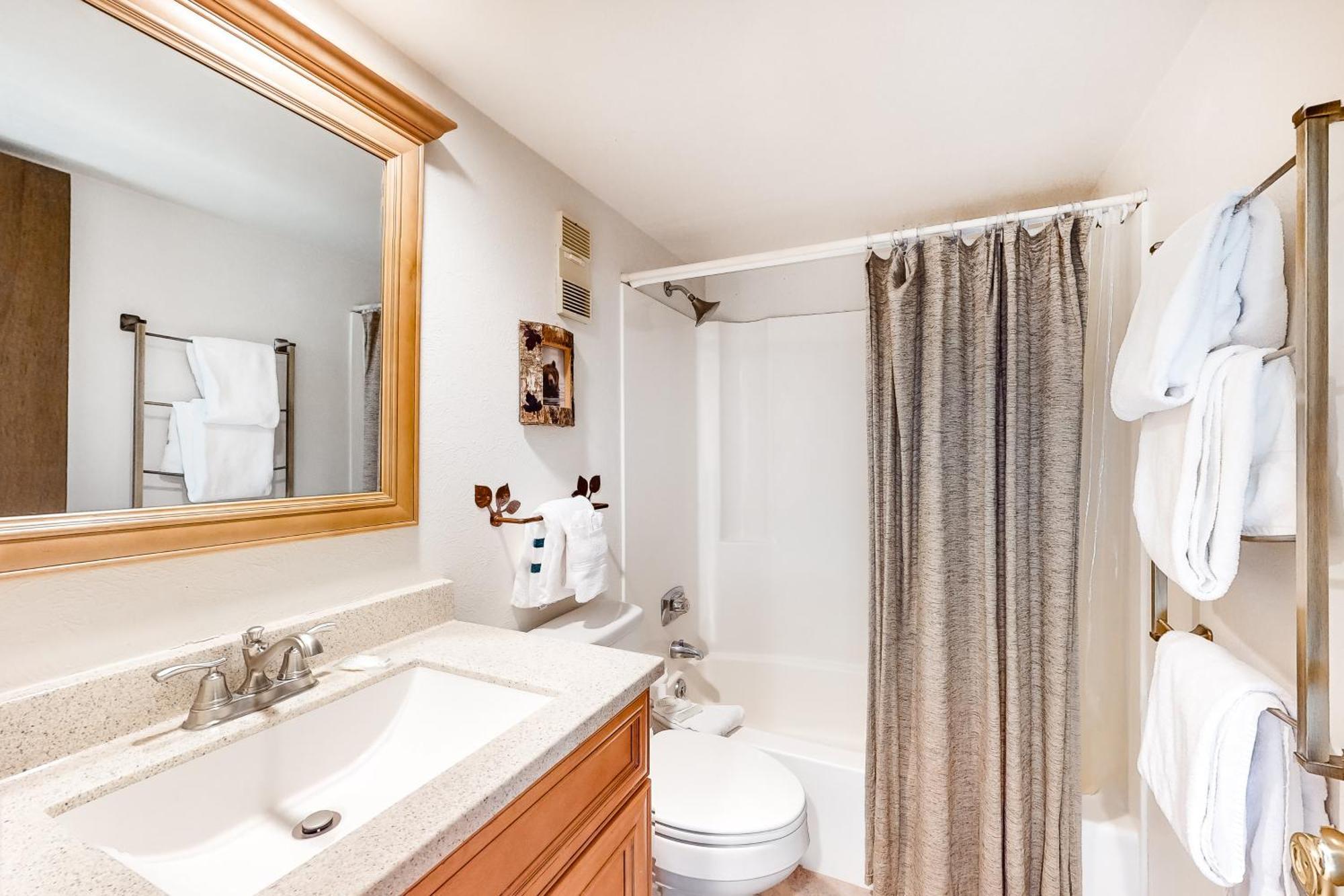 Buffalo Ridge Silverthorne Bilik gambar